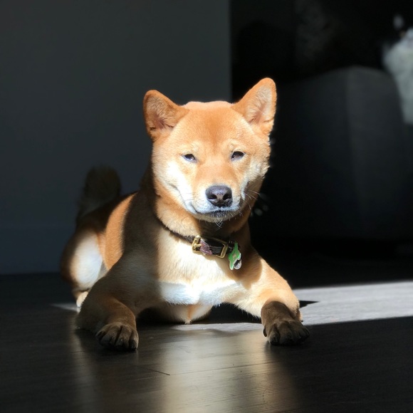 🙋🏽‍♀️HI, I’m Nadia! - Picture 7 of 10